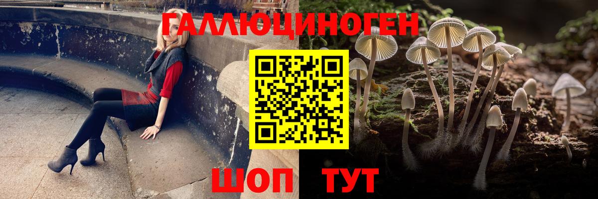 Псилоцибиновые грибы мицелий  Вход с VPN  Жигулёвск 